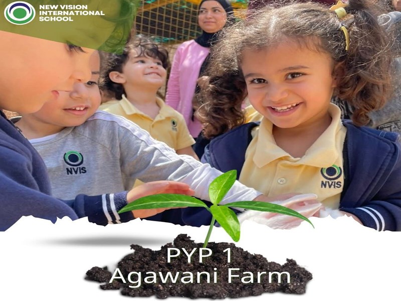 New Vision international School