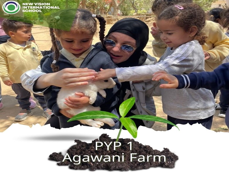 New Vision international School