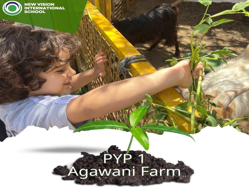 New Vision international School