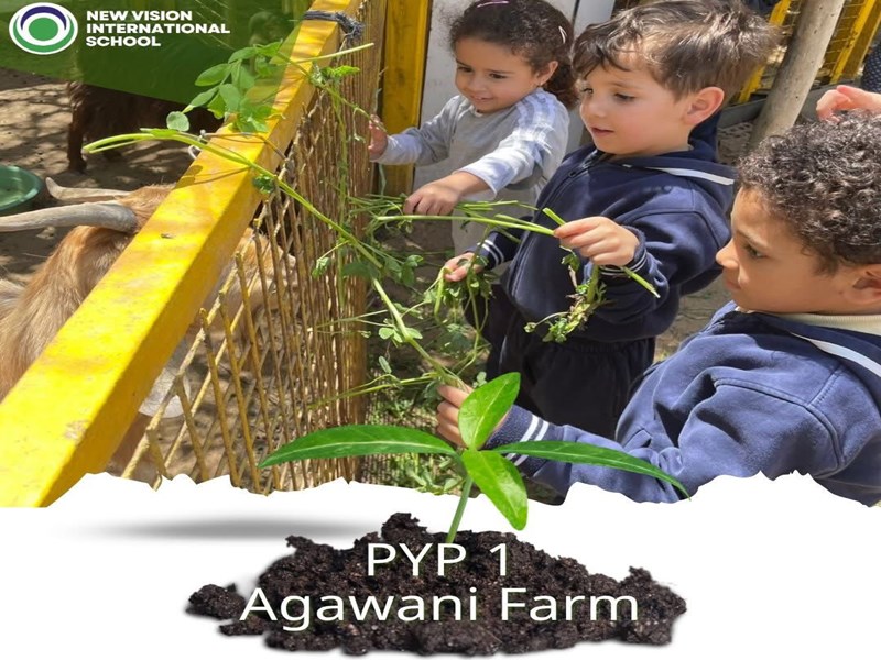 New Vision international School