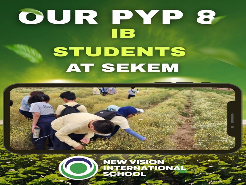 New Vision international School