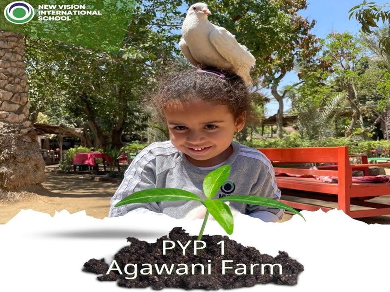 New Vision international School