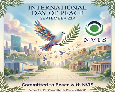 New Vision International School